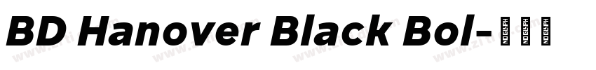 BD Hanover Black Bol字体转换